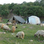 گردشگری عشایری مازندران