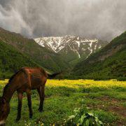 سفر به مازندران