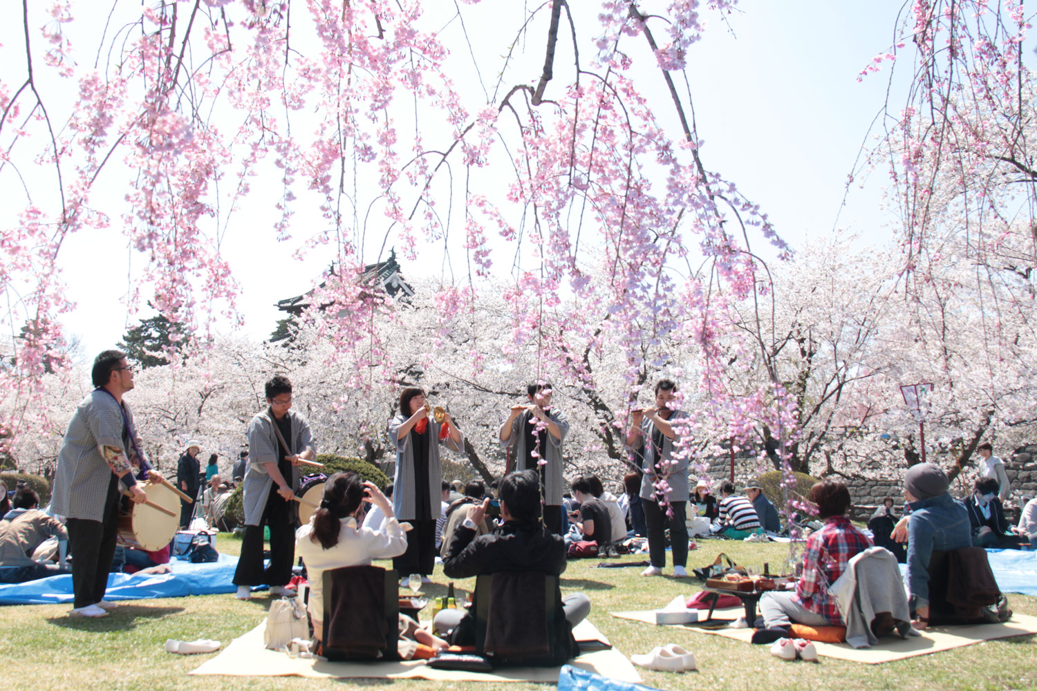 فستیوال های گل در بهار
