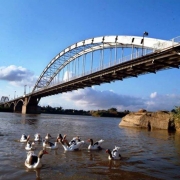در مورد پل سفید اهواز چه میدانید؟