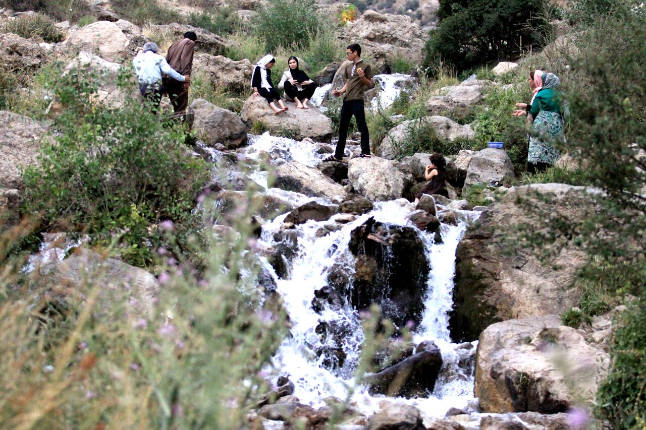 چشمه میشی