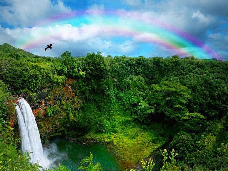 آبشار هاوایی