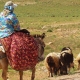 ظرفیت‌های بوم‌گردی و گردشگری عشایر استان فارس