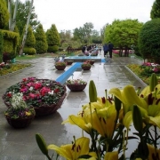 باغ گلستان تبریز