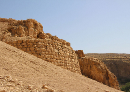 قصر ابونصر