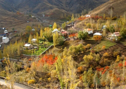 ناصرالدین شاه
